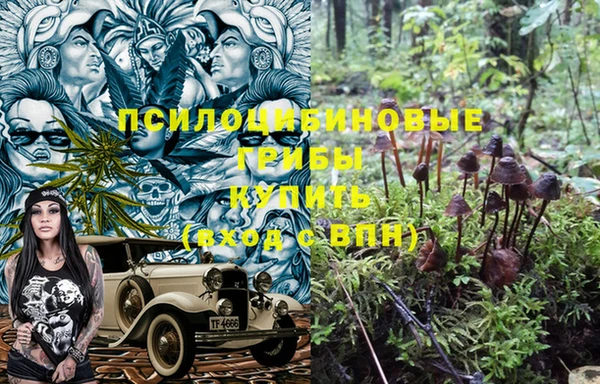 jwh Арсеньев